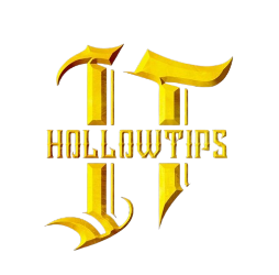 hollowtipsdisposable.com